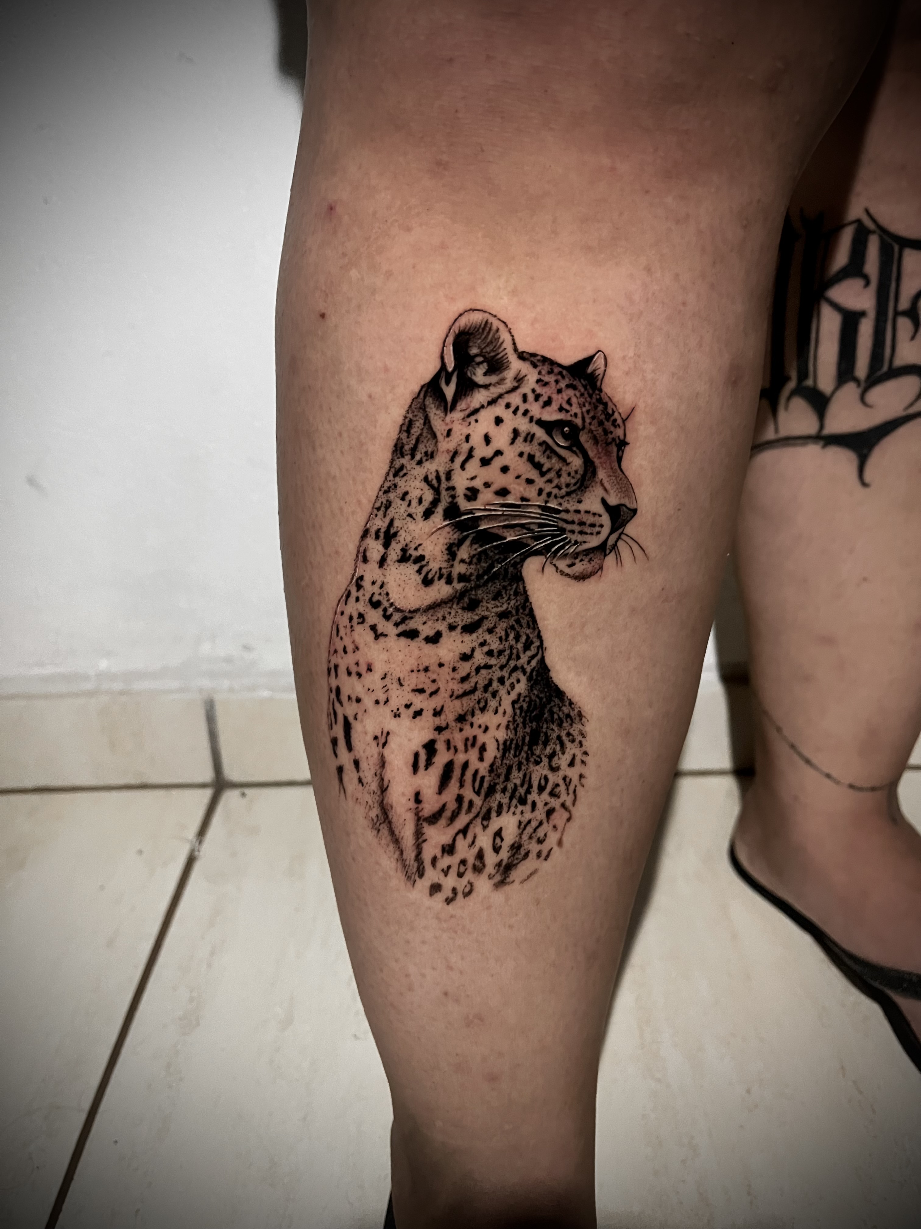 Onça pintada