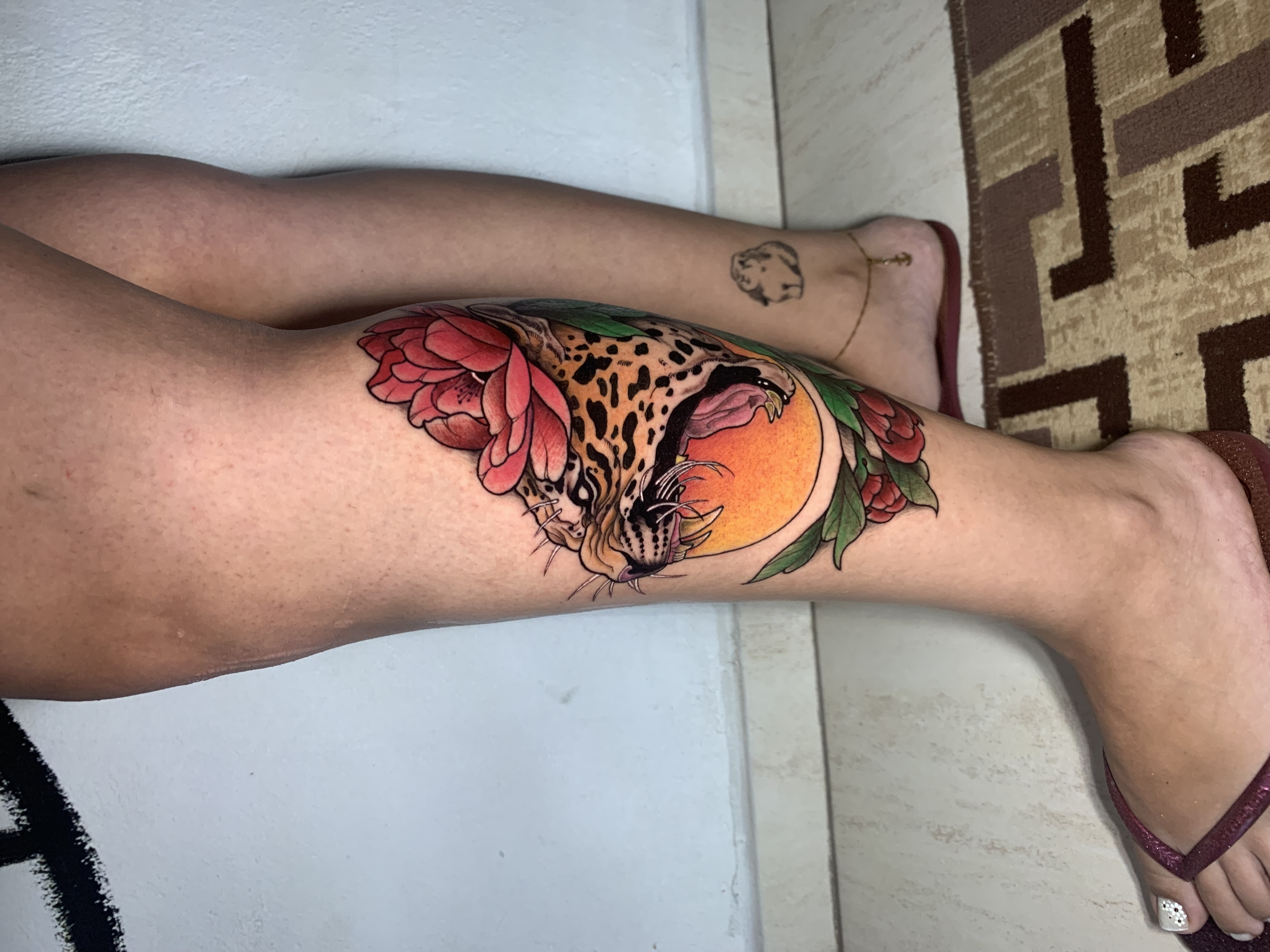 Onça pintada